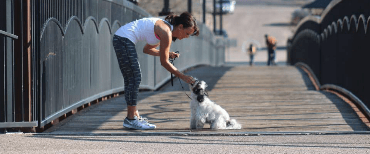 fitness fashion blog - kimbentley