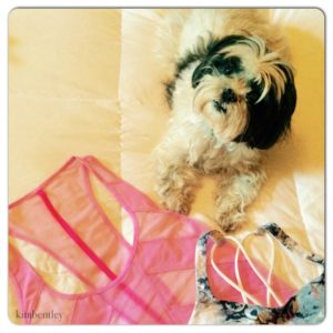 Picture of Bentley with sheer pink insert top.
