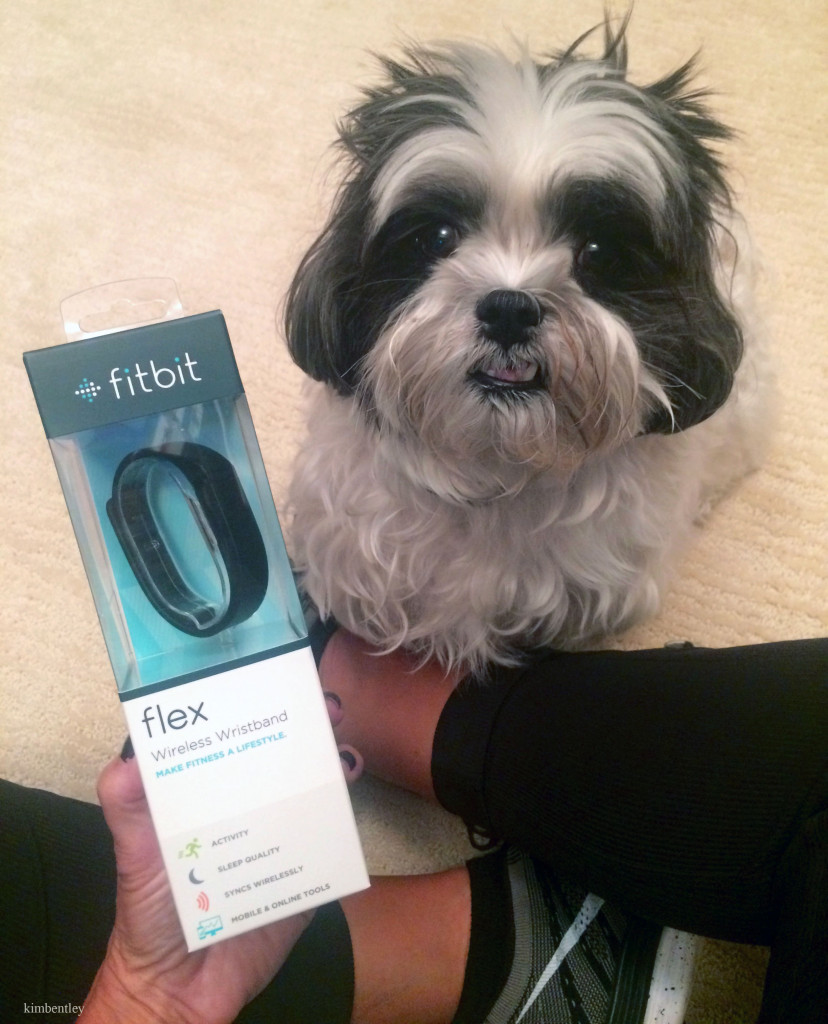 Bentley and fitbit flex