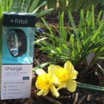 Fitbit Giveaway