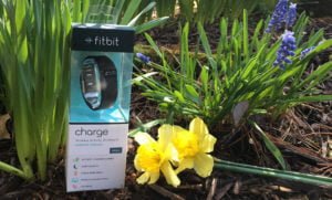 Fitbit Giveaway