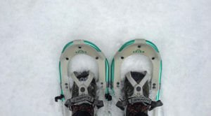 Snowshoe 101